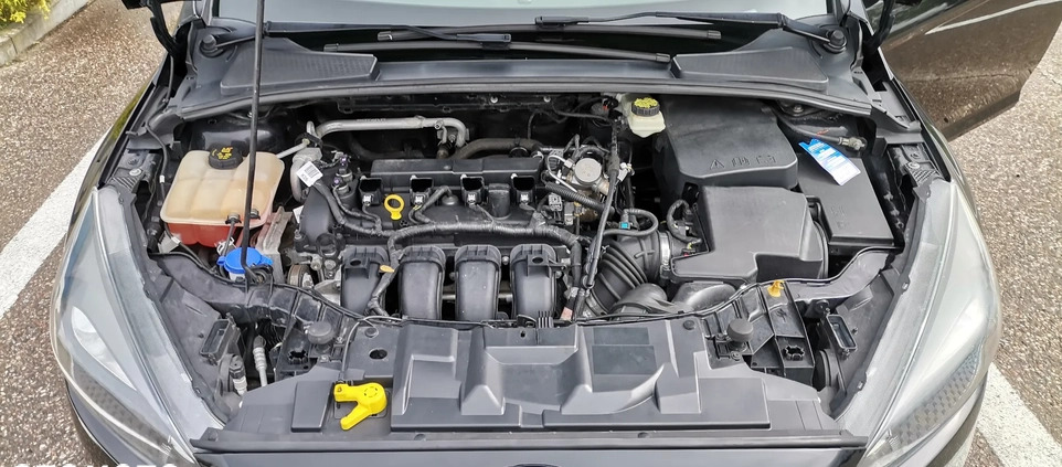 Ford Focus cena 39900 przebieg: 65100, rok produkcji 2017 z Kisielice małe 211